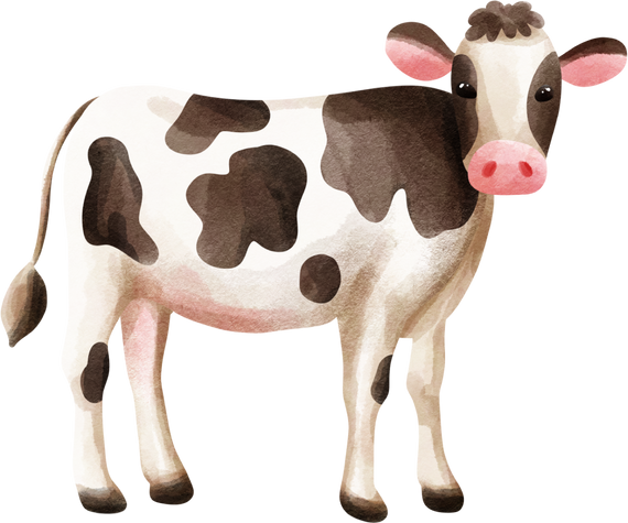 a cow